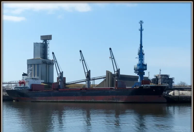 STELLAR ATLANTIC Bulk Carrier IMO 9282948 photo 4