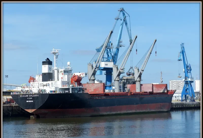 STELLAR ATLANTIC Bulk Carrier IMO 9282948 photo 5