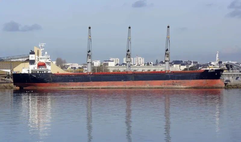STELLAR ATLANTIC Bulk Carrier IMO 9282948 photo 6