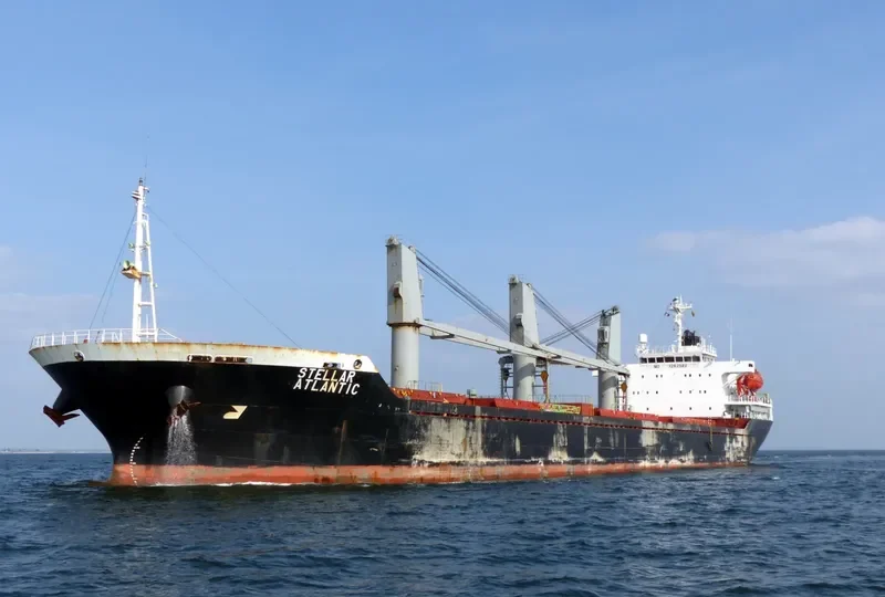 STELLAR ATLANTIC Bulk Carrier IMO 9282948 photo 7