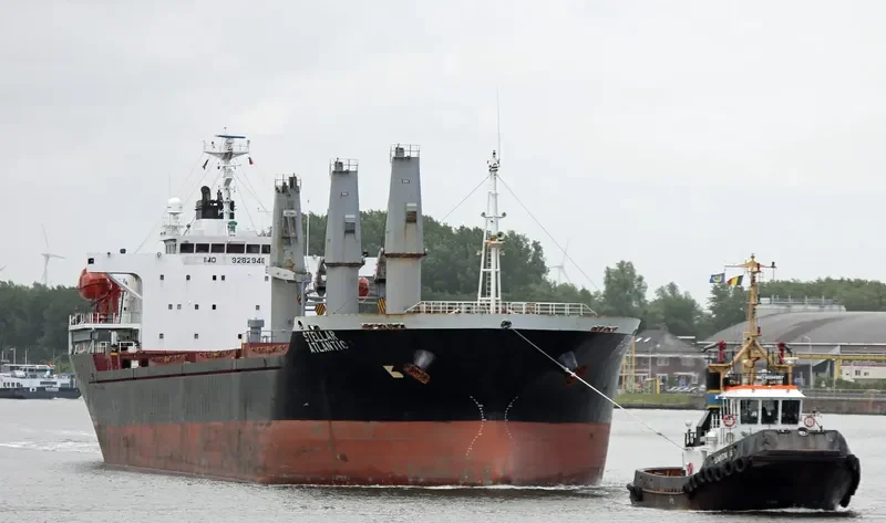 STELLAR ATLANTIC Bulk Carrier IMO 9282948 photo 8