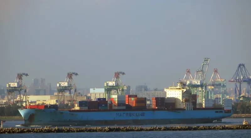 TIANJIN BRIDGE Container Ship IMO 9282962 photo 2