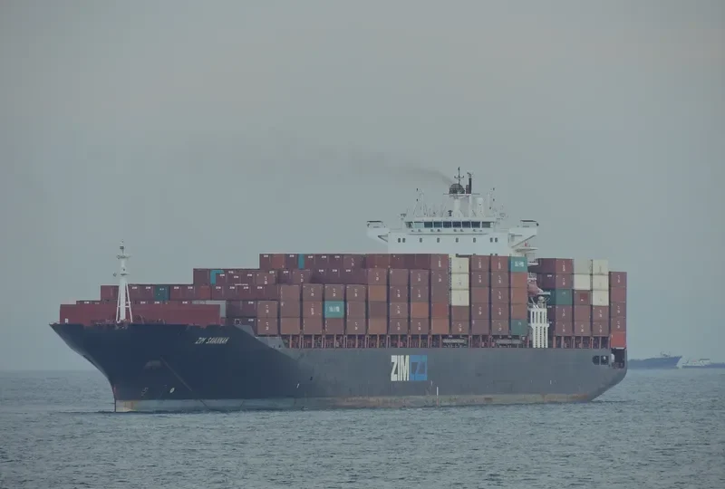 ZIM SAVANNAH Container Ship IMO 9282974 photo 7
