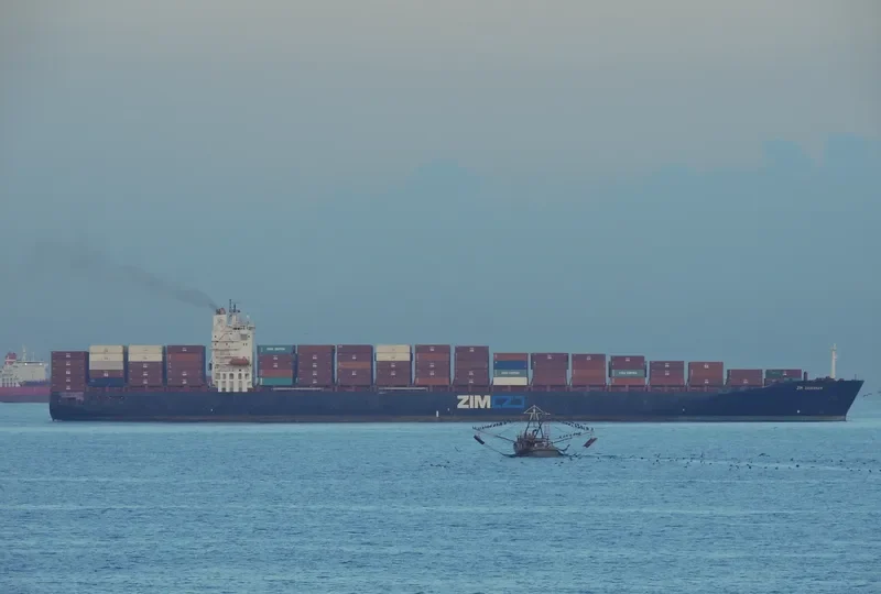 ZIM SAVANNAH Container Ship IMO 9282974 photo 8