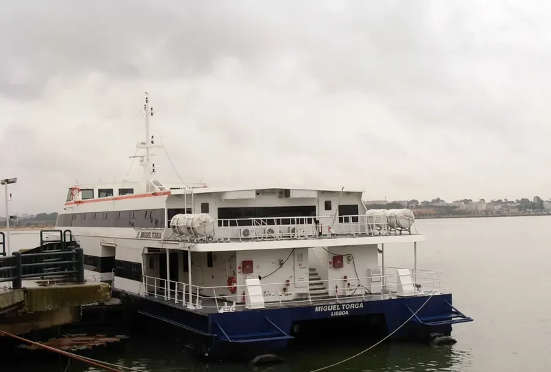 MIGUEL TORGA Passenger Ship IMO 9283368 photo 7