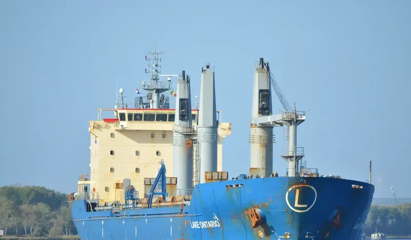 LAKE ONTARIO Bulk Carrier IMO 9283538 photo 46