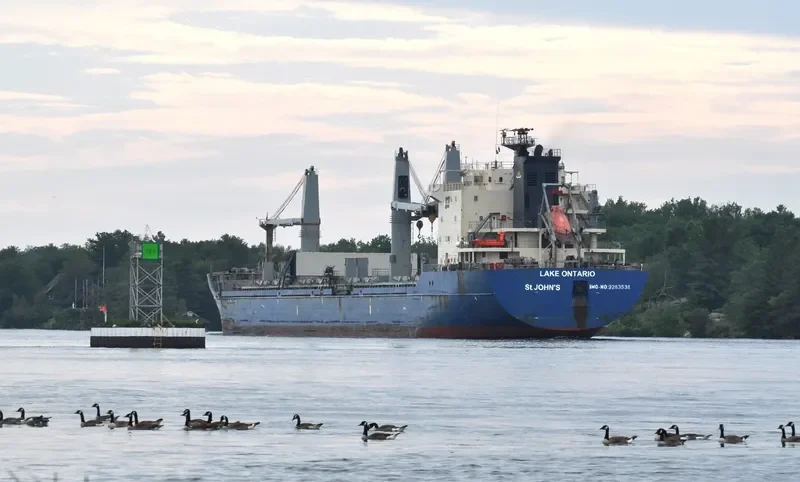 LAKE ONTARIO Bulk Carrier IMO 9283538 photo 576