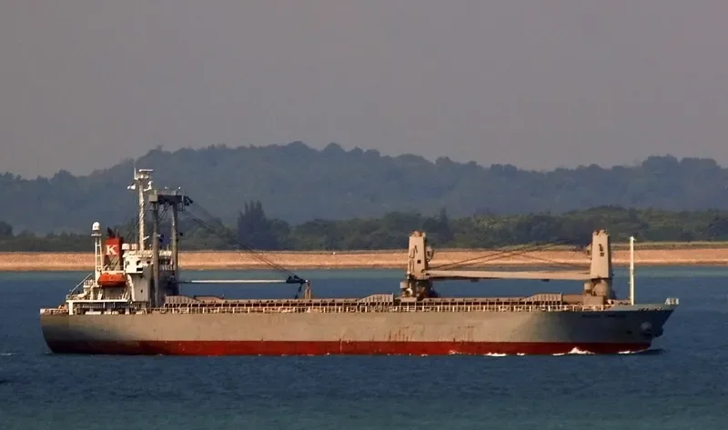 NEW LUCKY II General Cargo IMO 9283605 photo 9