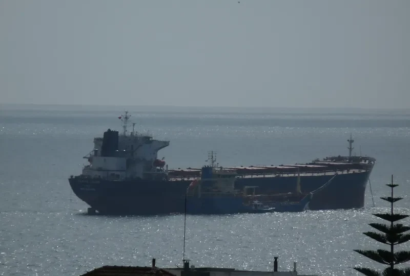 THREE STARS Bulk Carrier IMO 9283655 photo 2
