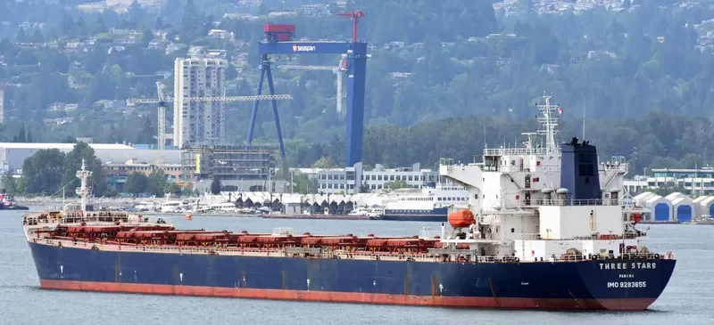 THREE STARS Bulk Carrier IMO 9283655 photo 4
