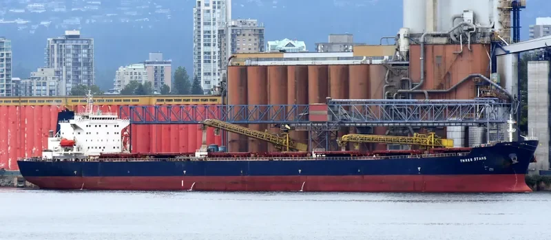 THREE STARS Bulk Carrier IMO 9283655 photo 5