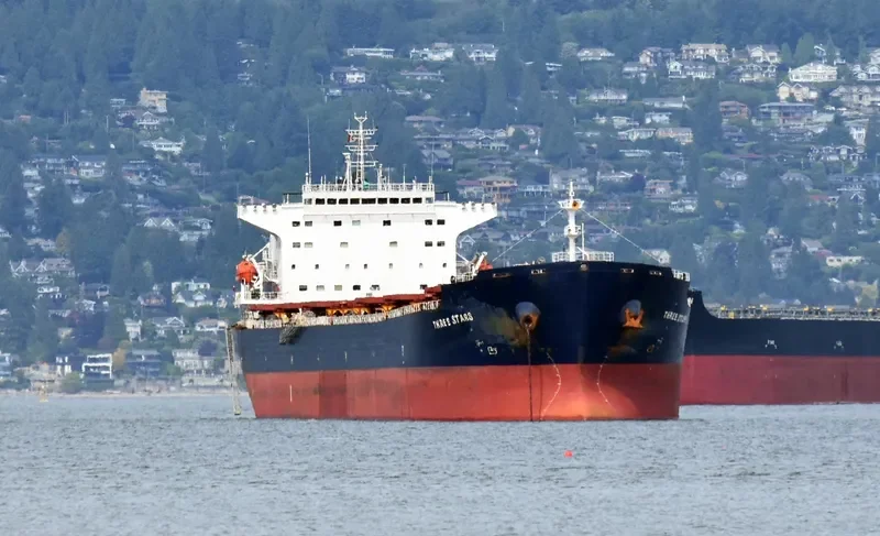 THREE STARS Bulk Carrier IMO 9283655 photo 6