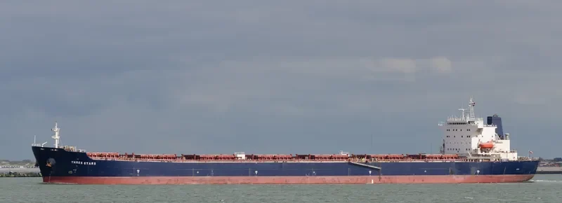 THREE STARS Bulk Carrier IMO 9283655 photo 8