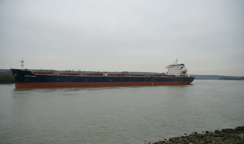 THREE STARS Bulk Carrier IMO 9283655 photo 9
