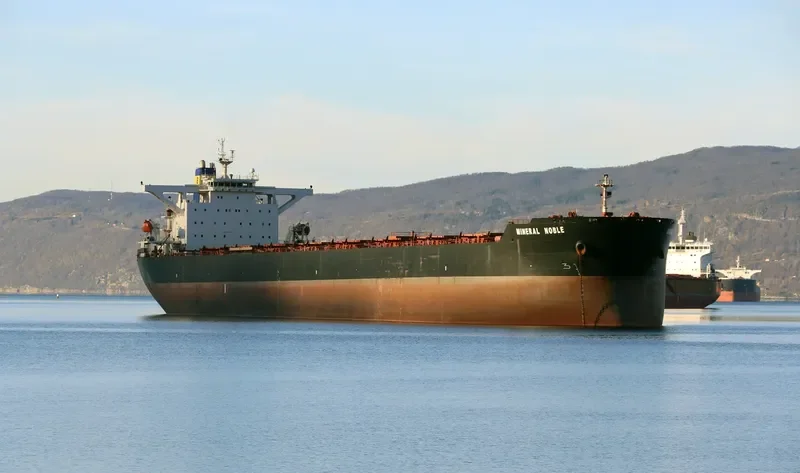 MINERAL NOBLE Bulk Carrier IMO 9283681 photo 3
