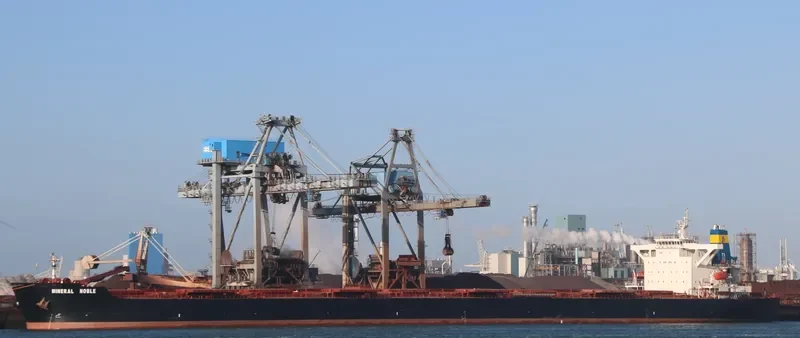 MINERAL NOBLE Bulk Carrier IMO 9283681 photo 5