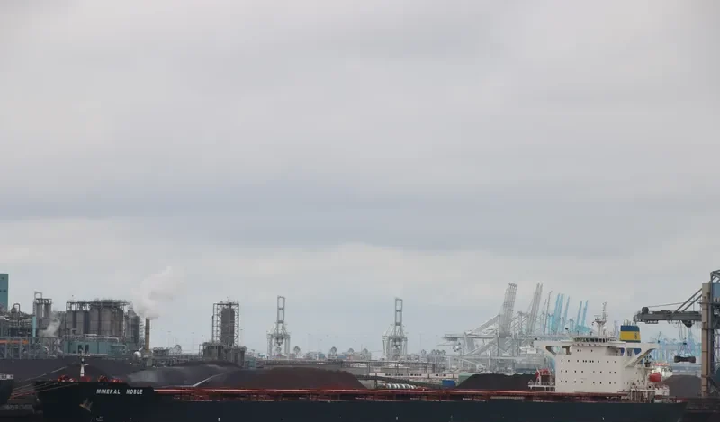 MINERAL NOBLE Bulk Carrier IMO 9283681 photo 6