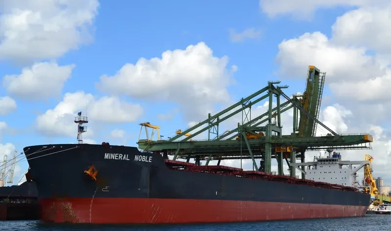 MINERAL NOBLE Bulk Carrier IMO 9283681 photo 8