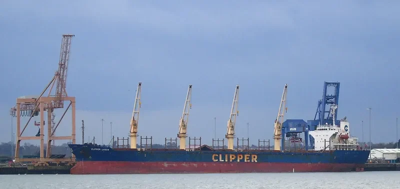 TAN BINH 245 Bulk Carrier IMO 9283837 photo 5