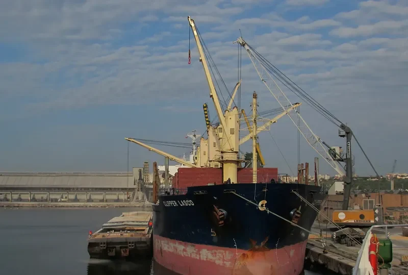 TAN BINH 245 Bulk Carrier IMO 9283837 photo 10