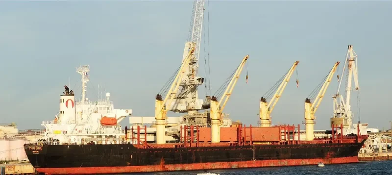 UNIVERSE KAISA Bulk Carrier IMO 9283849