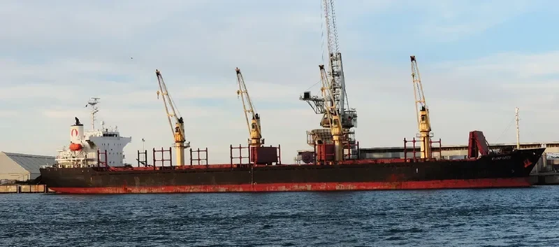 UNIVERSE KAISA Bulk Carrier IMO 9283849 photo 3