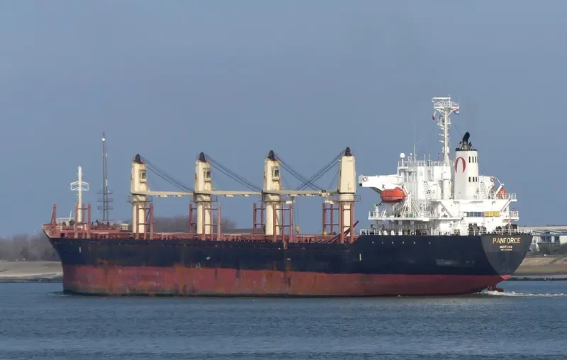 UNIVERSE KAISA Bulk Carrier IMO 9283849 photo 4