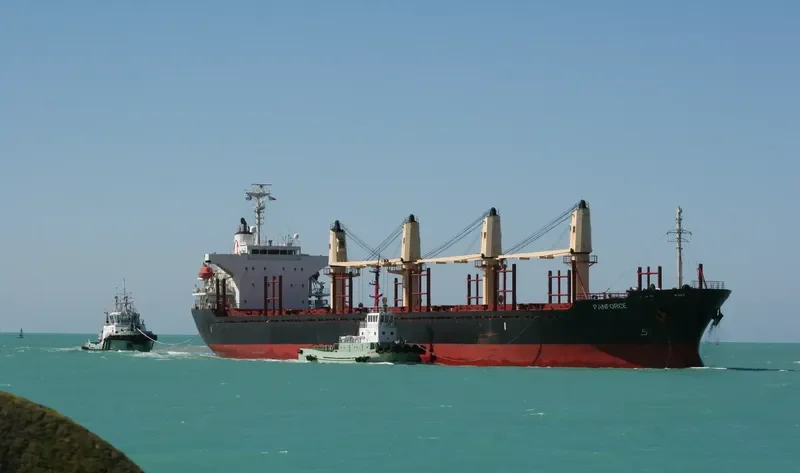 UNIVERSE KAISA Bulk Carrier IMO 9283849 photo 6