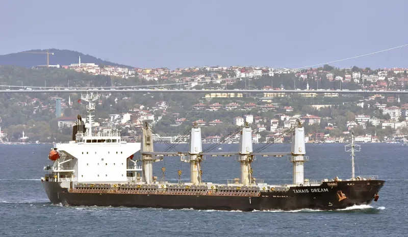 TANAIS DREAM Bulk Carrier IMO 9283899