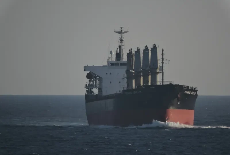 TANAIS DREAM Bulk Carrier IMO 9283899 photo 2