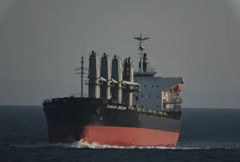 TANAIS DREAM Bulk Carrier IMO 9283899 photo 3