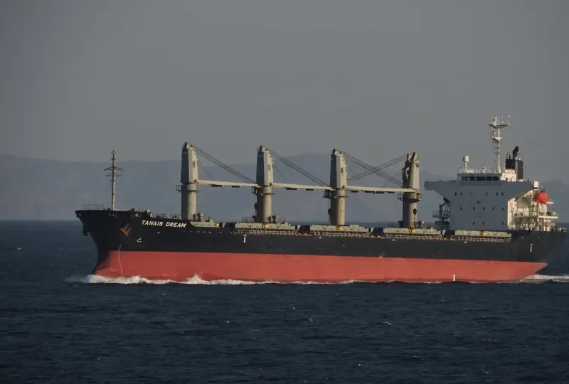 TANAIS DREAM Bulk Carrier IMO 9283899 photo 4