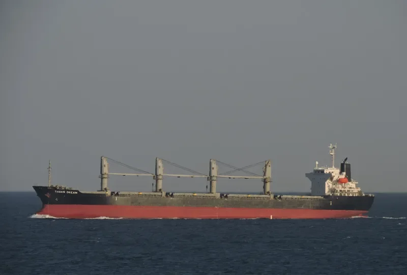 TANAIS DREAM Bulk Carrier IMO 9283899 photo 5