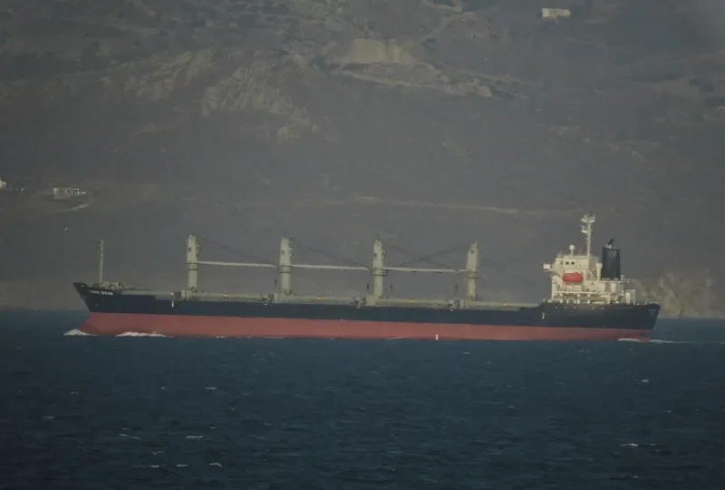 TANAIS DREAM Bulk Carrier IMO 9283899 photo 6