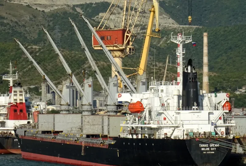 TANAIS DREAM Bulk Carrier IMO 9283899 photo 7