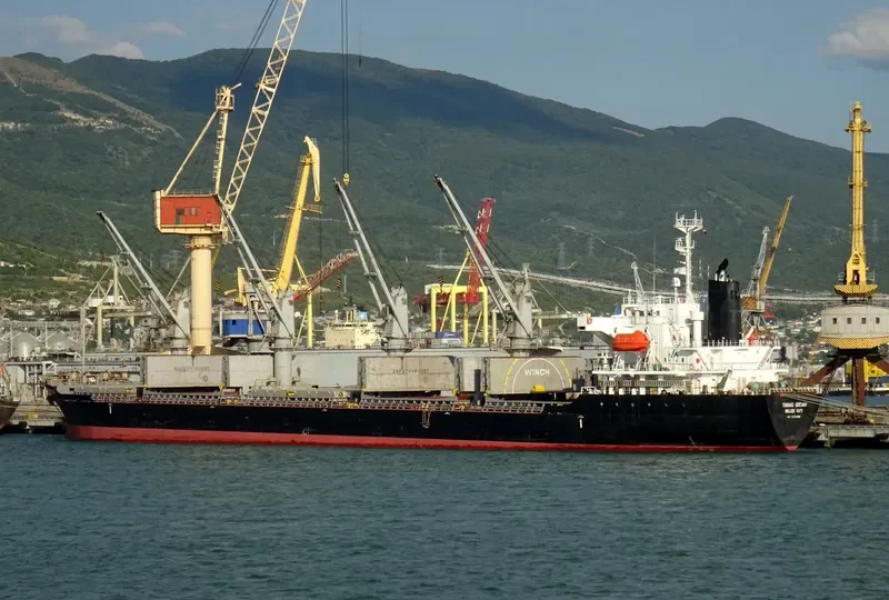 TANAIS DREAM Bulk Carrier IMO 9283899 photo 8