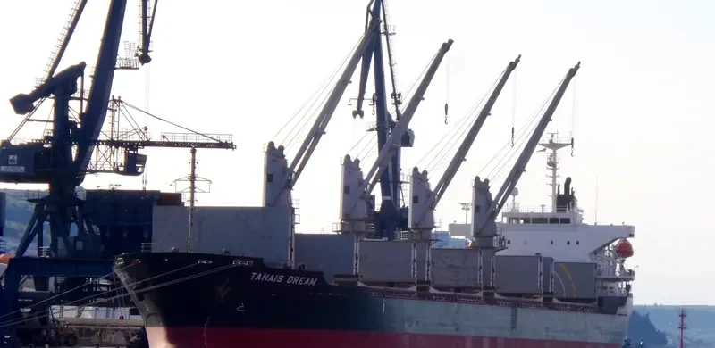 TANAIS DREAM Bulk Carrier IMO 9283899 photo 9