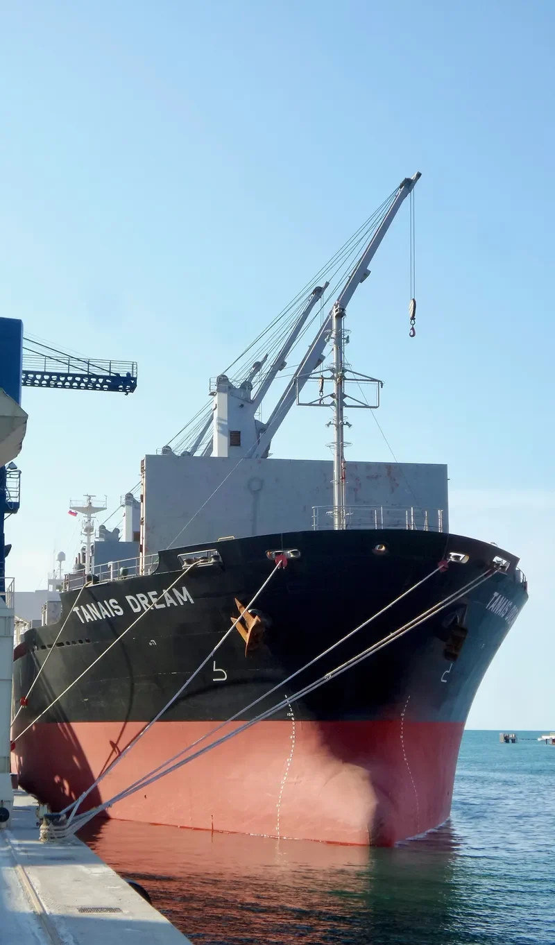 TANAIS DREAM Bulk Carrier IMO 9283899 photo 10