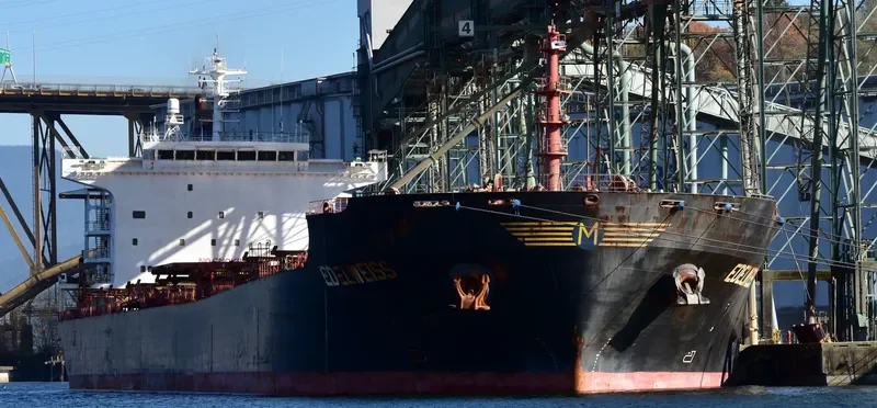EDELWEISS Bulk Carrier IMO 9283980