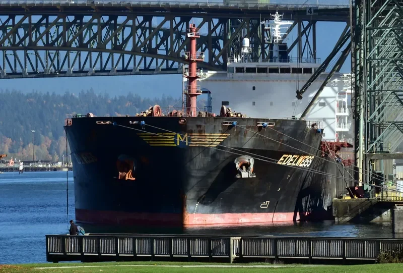 EDELWEISS Bulk Carrier IMO 9283980 photo 2