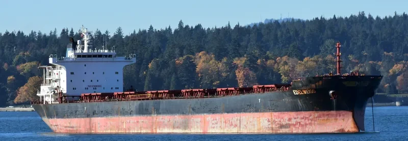 EDELWEISS Bulk Carrier IMO 9283980 photo 3