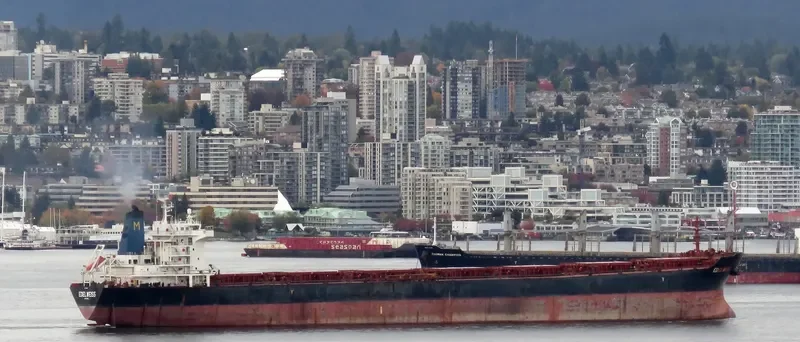 EDELWEISS Bulk Carrier IMO 9283980 photo 5