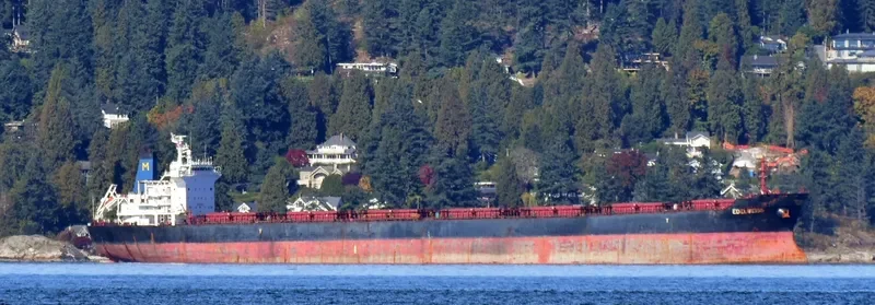 EDELWEISS Bulk Carrier IMO 9283980 photo 6