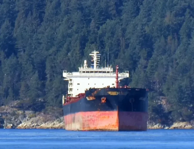 EDELWEISS Bulk Carrier IMO 9283980 photo 7