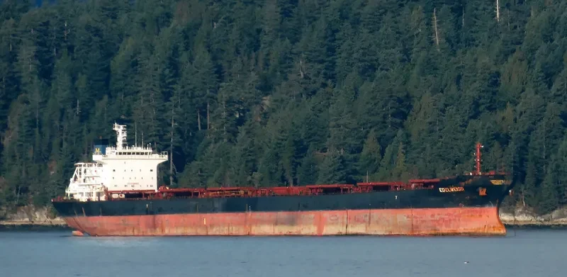 EDELWEISS Bulk Carrier IMO 9283980 photo 8