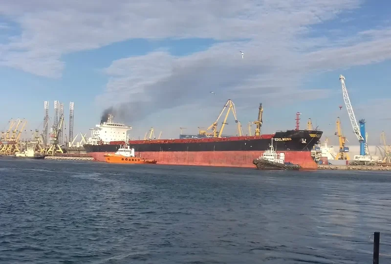 EDELWEISS Bulk Carrier IMO 9283980 photo 9