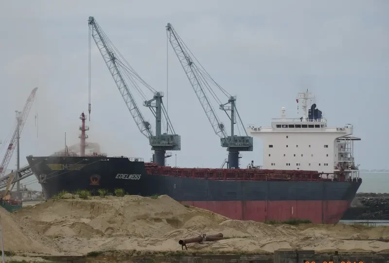 EDELWEISS Bulk Carrier IMO 9283980 photo 10