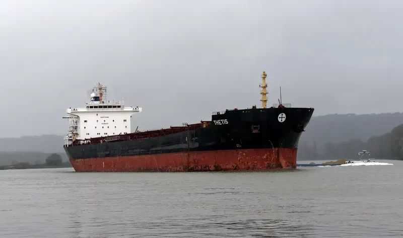 TAILWINDS Bulk Carrier IMO 9283992