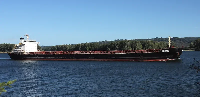 TAILWINDS Bulk Carrier IMO 9283992 photo 5