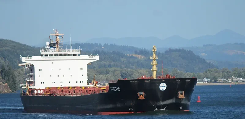 TAILWINDS Bulk Carrier IMO 9283992 photo 6